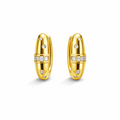 Radiant Luxe Hoops